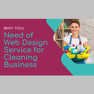 Need of Website Design Services for Cleaning Business