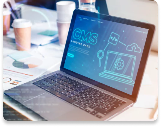 CMS-based Custom Website image